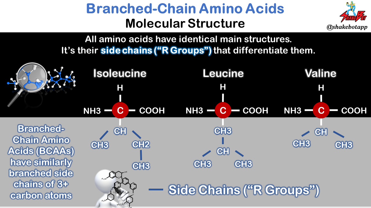 Branched-Chain-Amino-Acids-Molecular-Structure