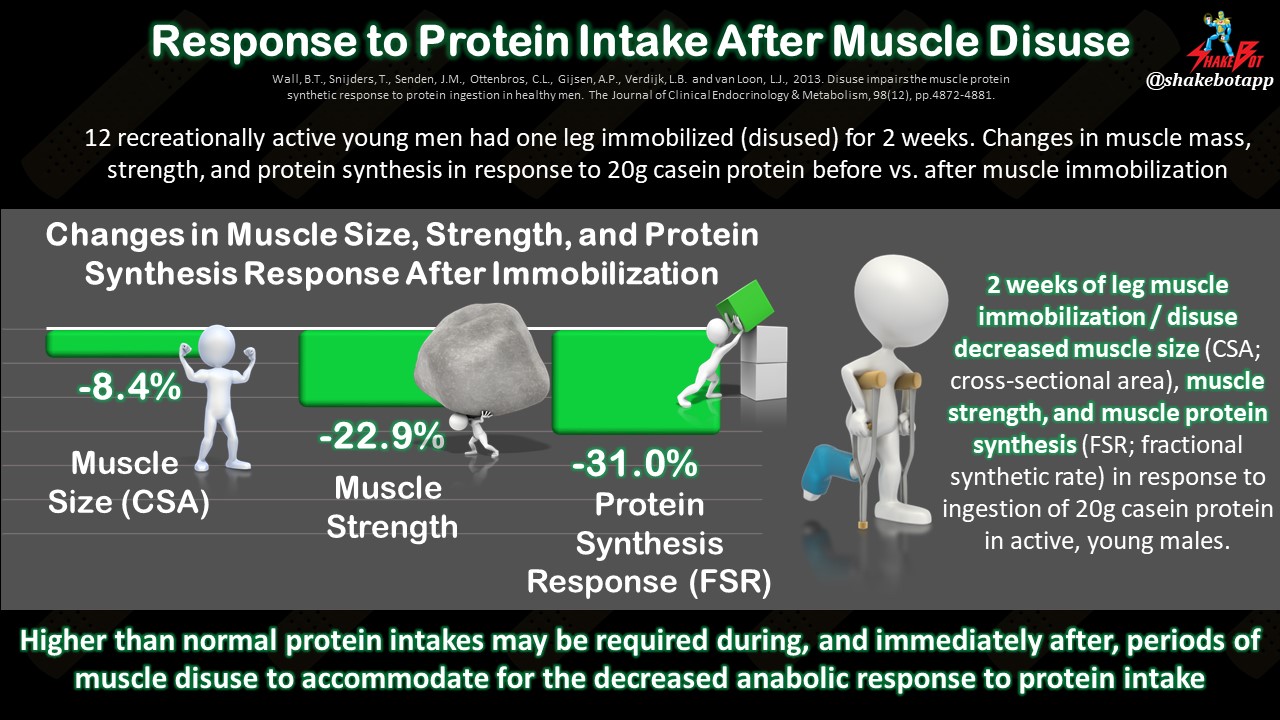 Read more about the article Muscle Disuse Impairs the Muscle Protein Synthetic (Anabolic) Response to Protein Ingestion in Healthy Men