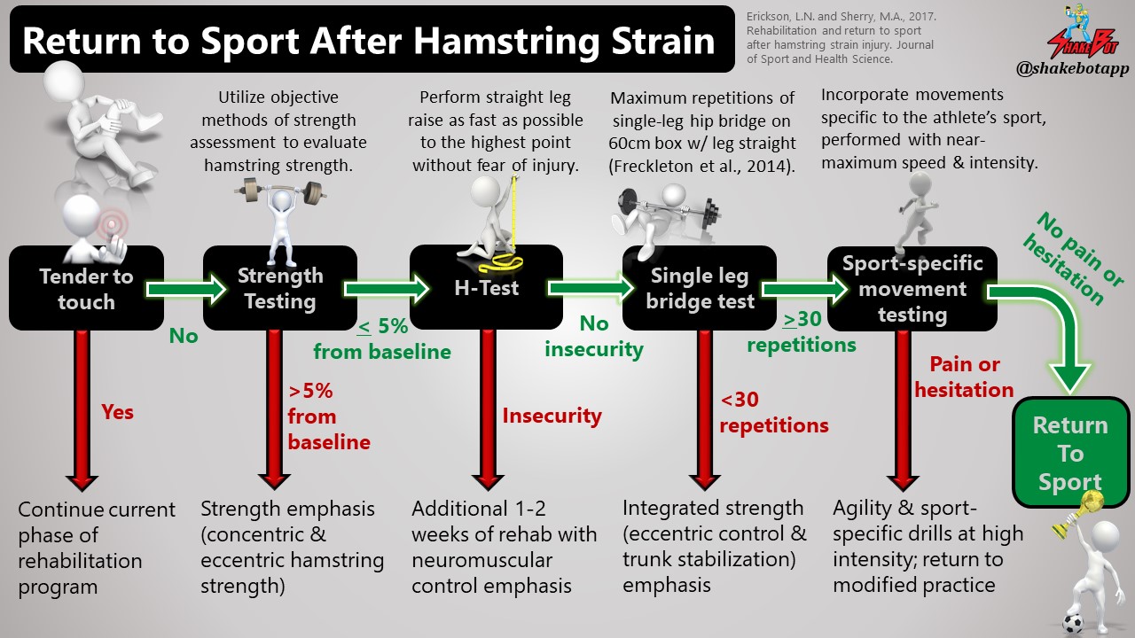 Read more about the article Evidence-Based Return-to-Play Protocol Following Hamstring Strains