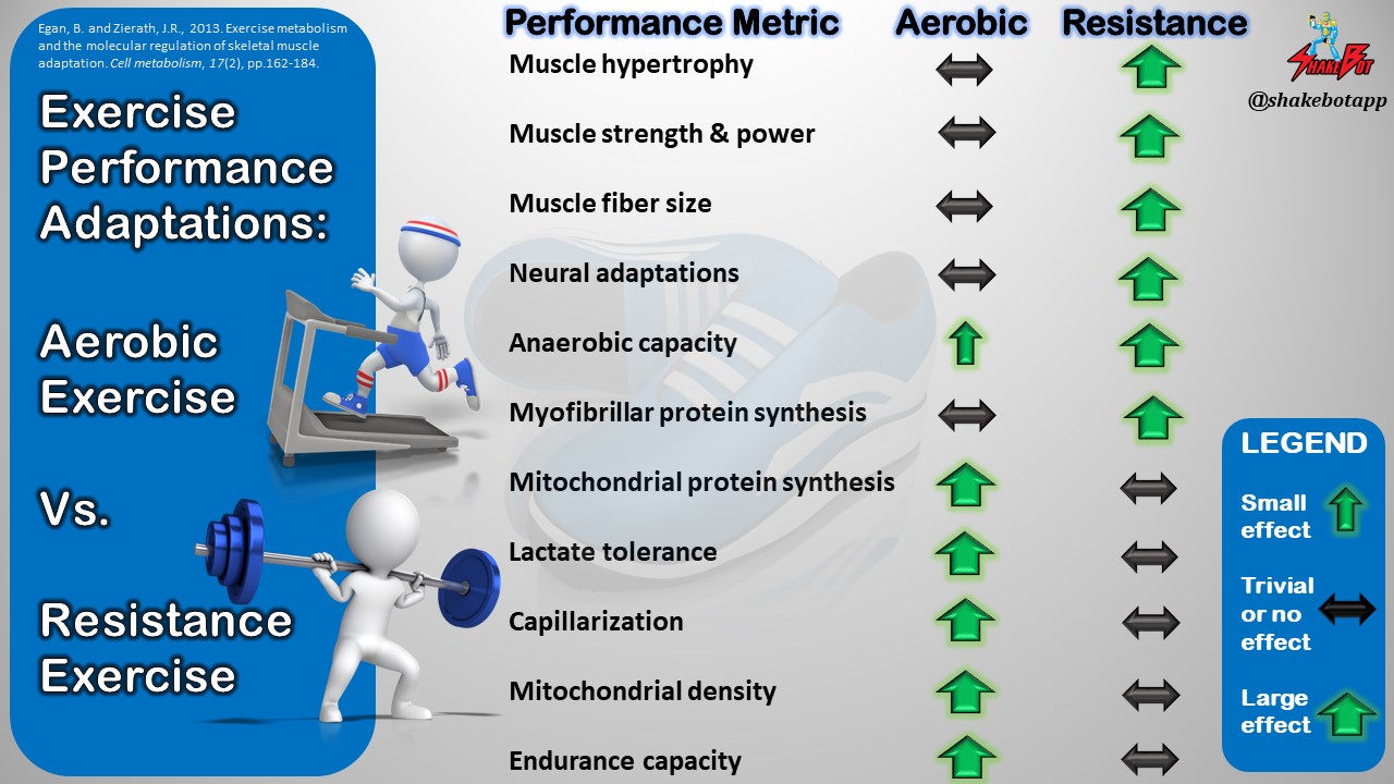 Read more about the article Exercise Performance Adaptations to Aerobic vs. Resistance Exercise
