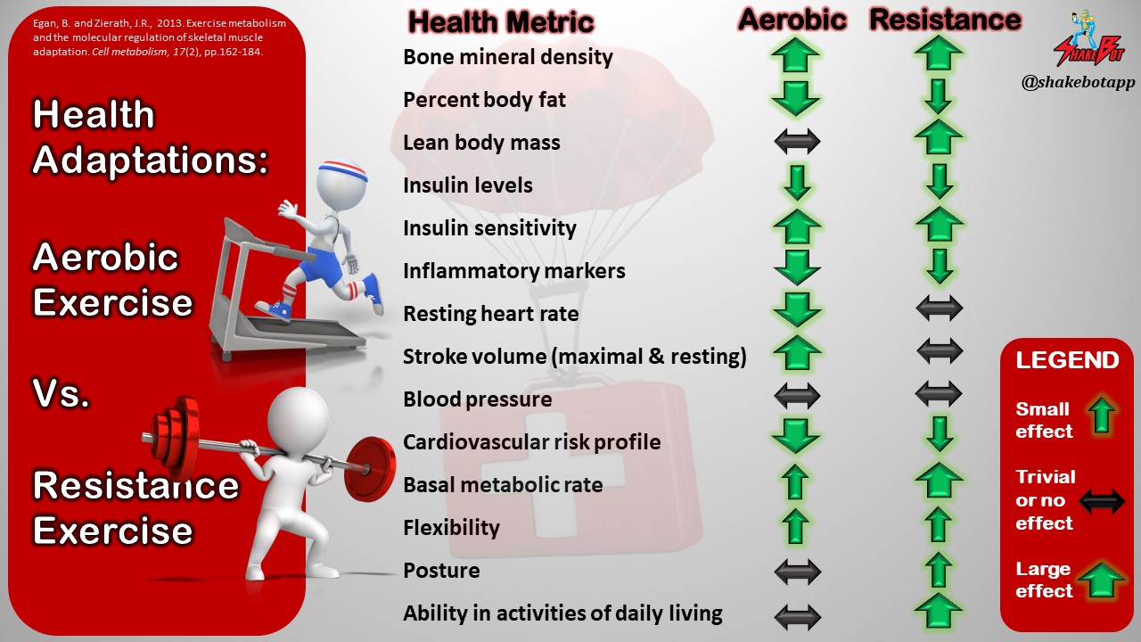 Read more about the article Whole-Body and Metabolic Health Adaptations to Aerobic vs. Resistance Exercise