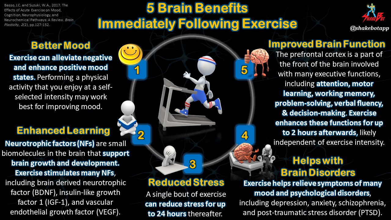 Read more about the article 5 Ways Exercise Immediately Benefits Your Brain