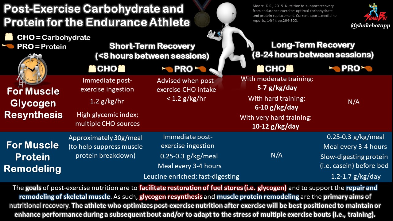 Read more about the article Nutrition to Support Recovery from Endurance Exercise: Optimal Carbohydrate and Protein Replacement
