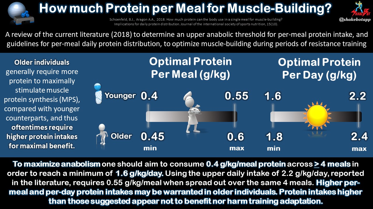 Read more about the article Per-Meal Protein Intake to Optimize Muscle-Building from Resistance Training