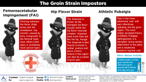 Read more about the article The Hip in Ice Hockey Part 3: The Groin Strain Impostors