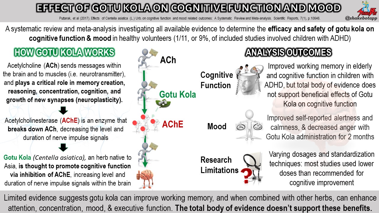 Read more about the article Supplement Review: Gotu Kola