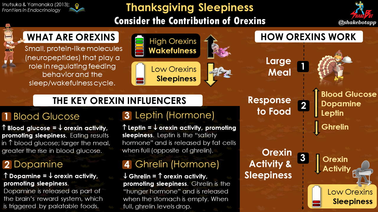 You are currently viewing The Main Reason Why You’re Sleepy on Thanksgiving