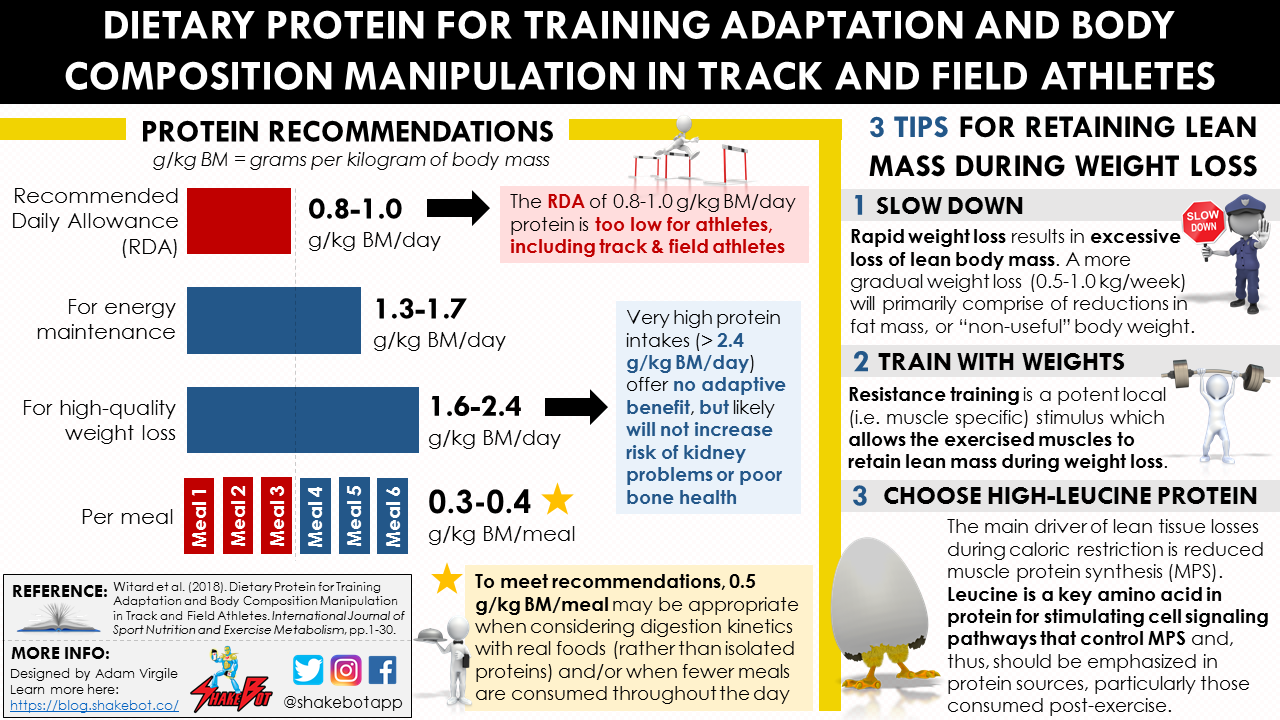 Read more about the article Dietary Protein for Training Adaptation and Body Composition Manipulation in Track and Field Athletes