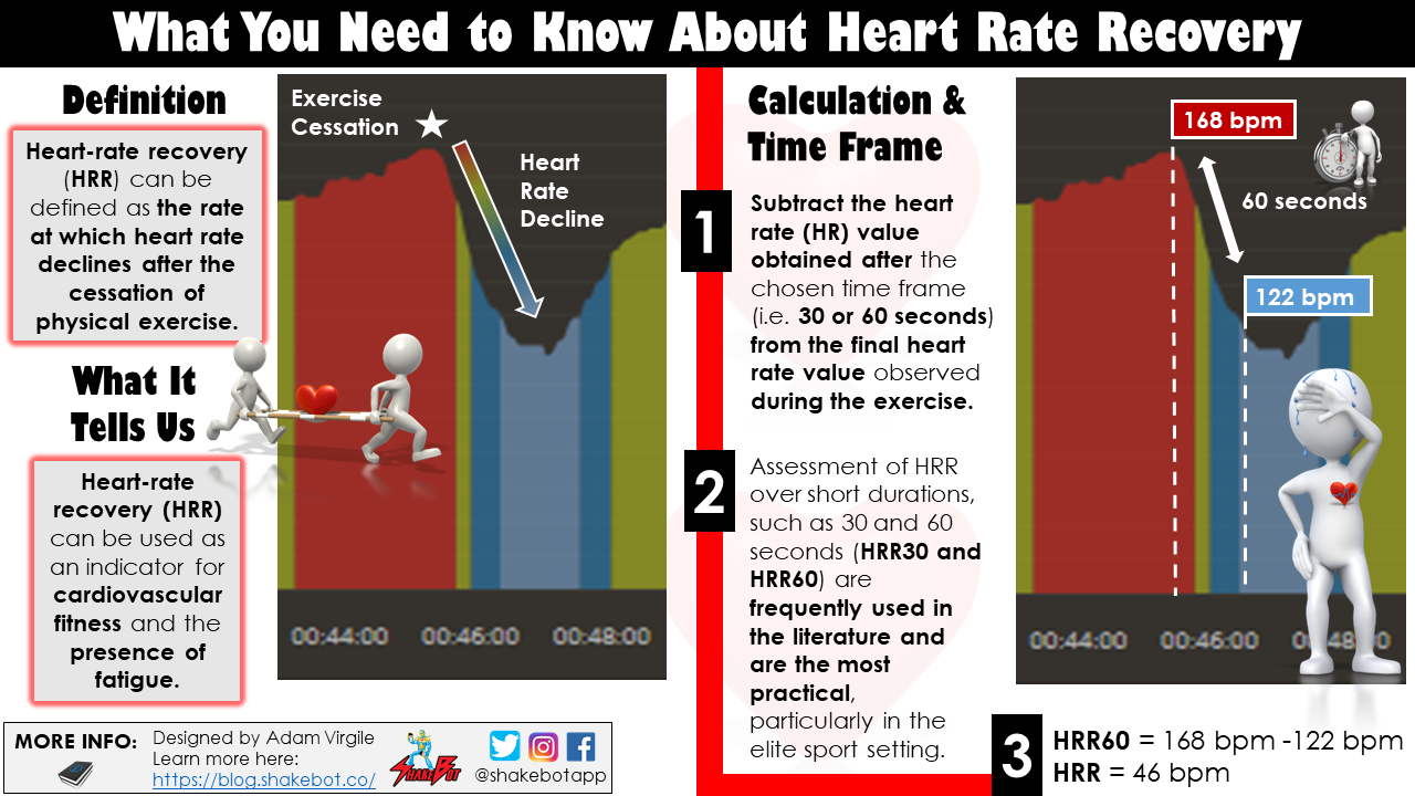 Read more about the article Heart Rate Recovery: An Underutilized Metric for Identifying Fitness and Fatigue in Athletes