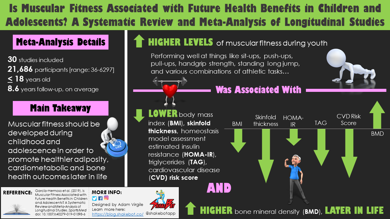 Read more about the article Is Muscular Fitness Associated with Future Health Benefits in Children and Adolescents? A Systematic Review and Meta-Analysis of Longitudinal Studies
