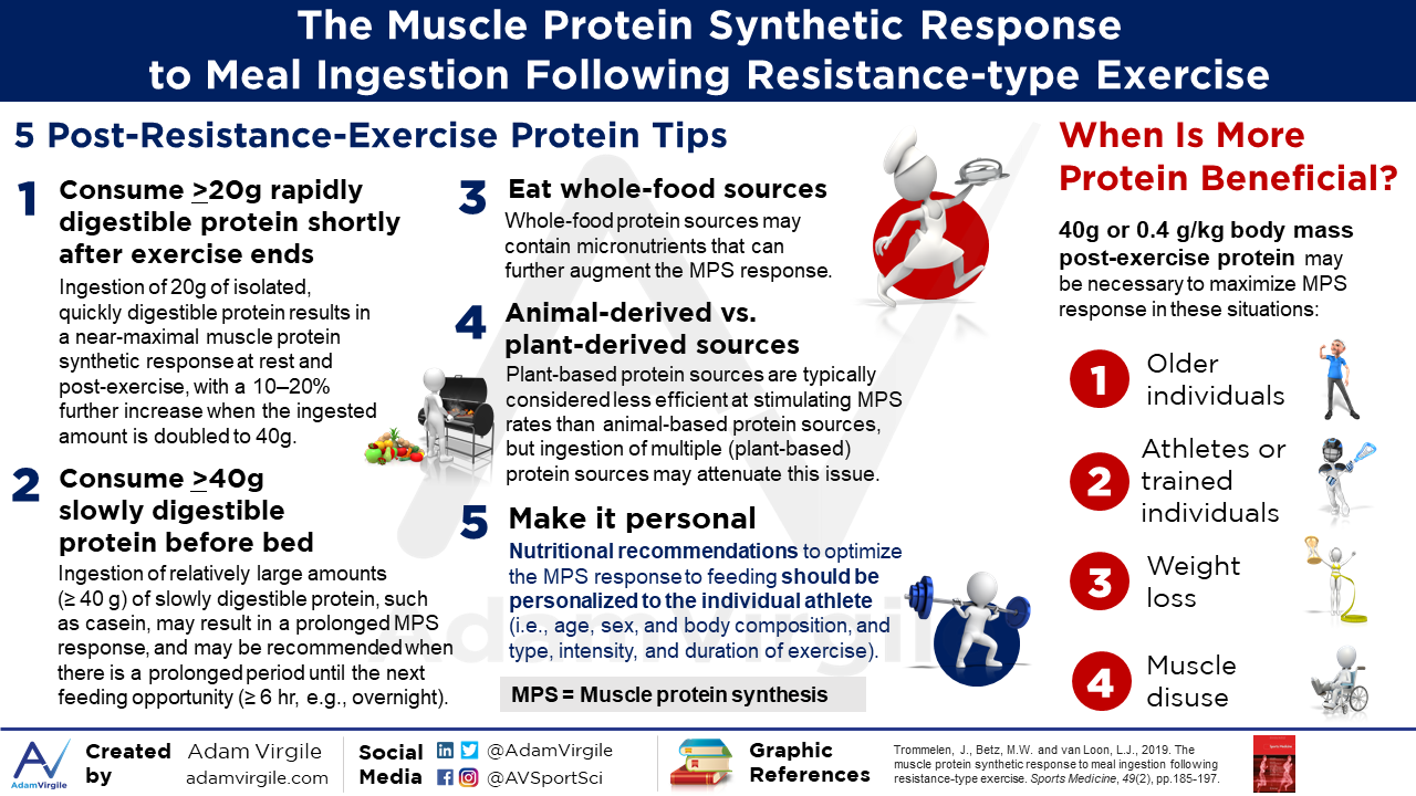 Read more about the article The Muscle Protein Synthetic Response to Meal Ingestion Following Resistance-Type Exercise