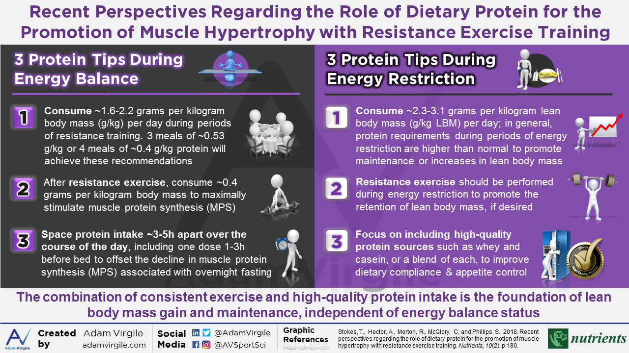Read more about the article Recent Perspectives Regarding the Role of Dietary Protein for the Promotion of Muscle Hypertrophy with Resistance Exercise Training