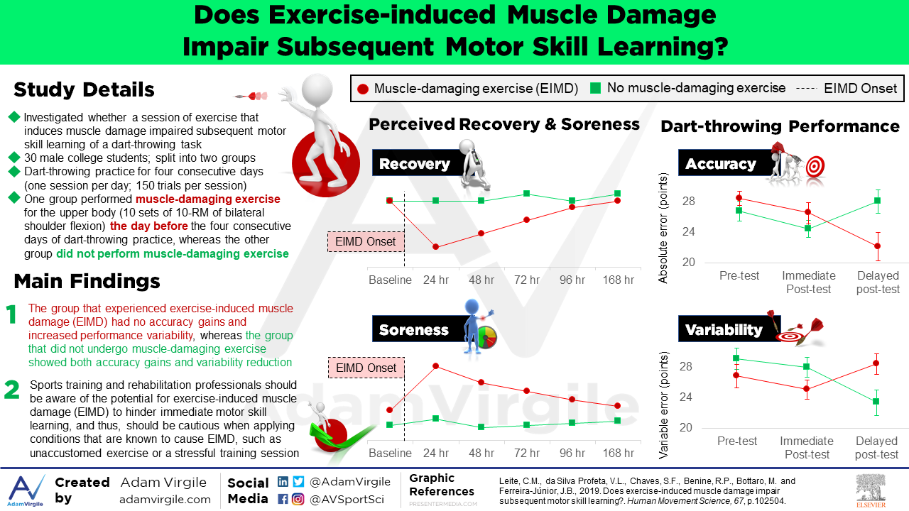 Read more about the article Does exercise-induced muscle damage impair subsequent motor skill learning?
