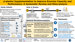 Read more about the article Beta-alanine supplementation to improve exercise capacity and performance: a systematic review and meta-analysis