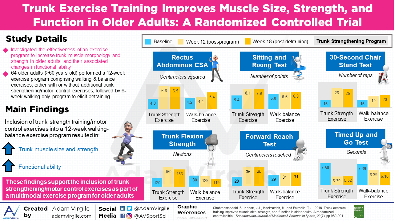 Read more about the article Trunk Exercise Training Improves Muscle Size, Strength, and Function in Older Adults