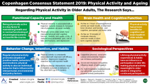 Read more about the article Copenhagen Consensus Statement 2019: Physical Activity and Ageing