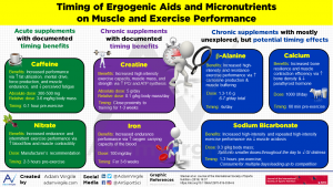 Read more about the article Timing of ergogenic aids and micronutrients on muscle and exercise performance