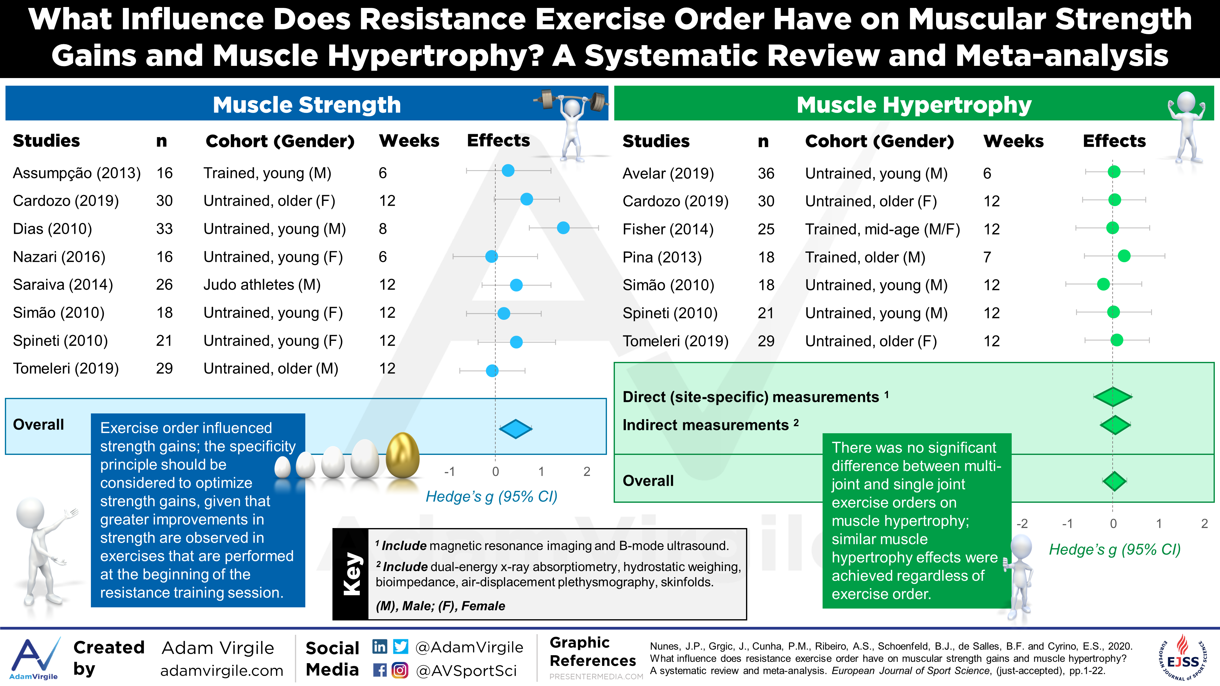 Read more about the article What Influence Does Resistance Exercise Order Have on Muscular Strength Gains and Muscle Hypertrophy? A Systematic Review and Meta-analysis