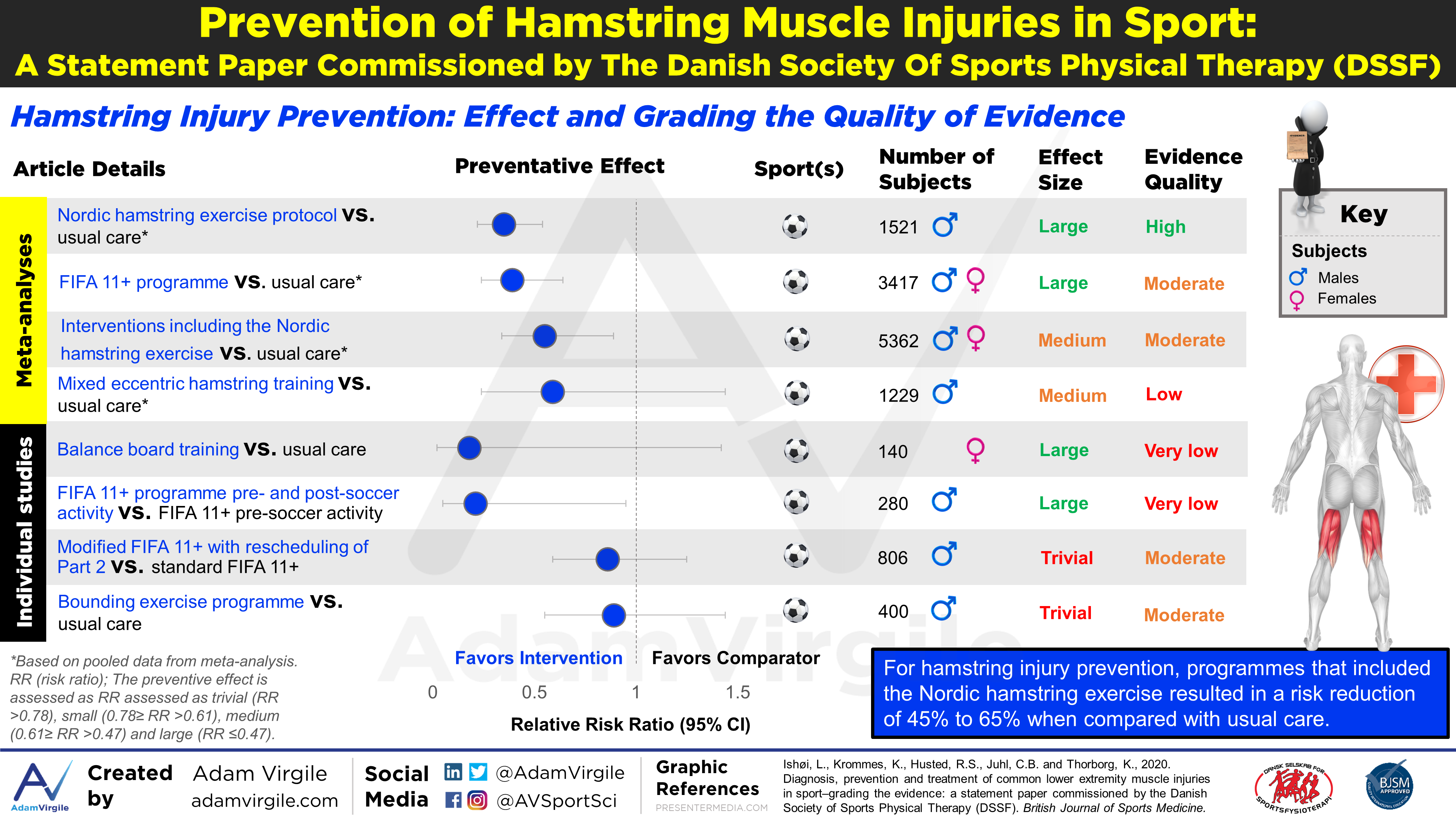 Read more about the article Diagnosis, prevention and treatment of common hamstring muscle injuries in sport—grading the evidence: a statement paper commissioned by the Danish Society of Sports Physical Therapy (DSSF)