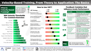 Read more about the article Velocity-Based Training, From Theory to Application: The Basics