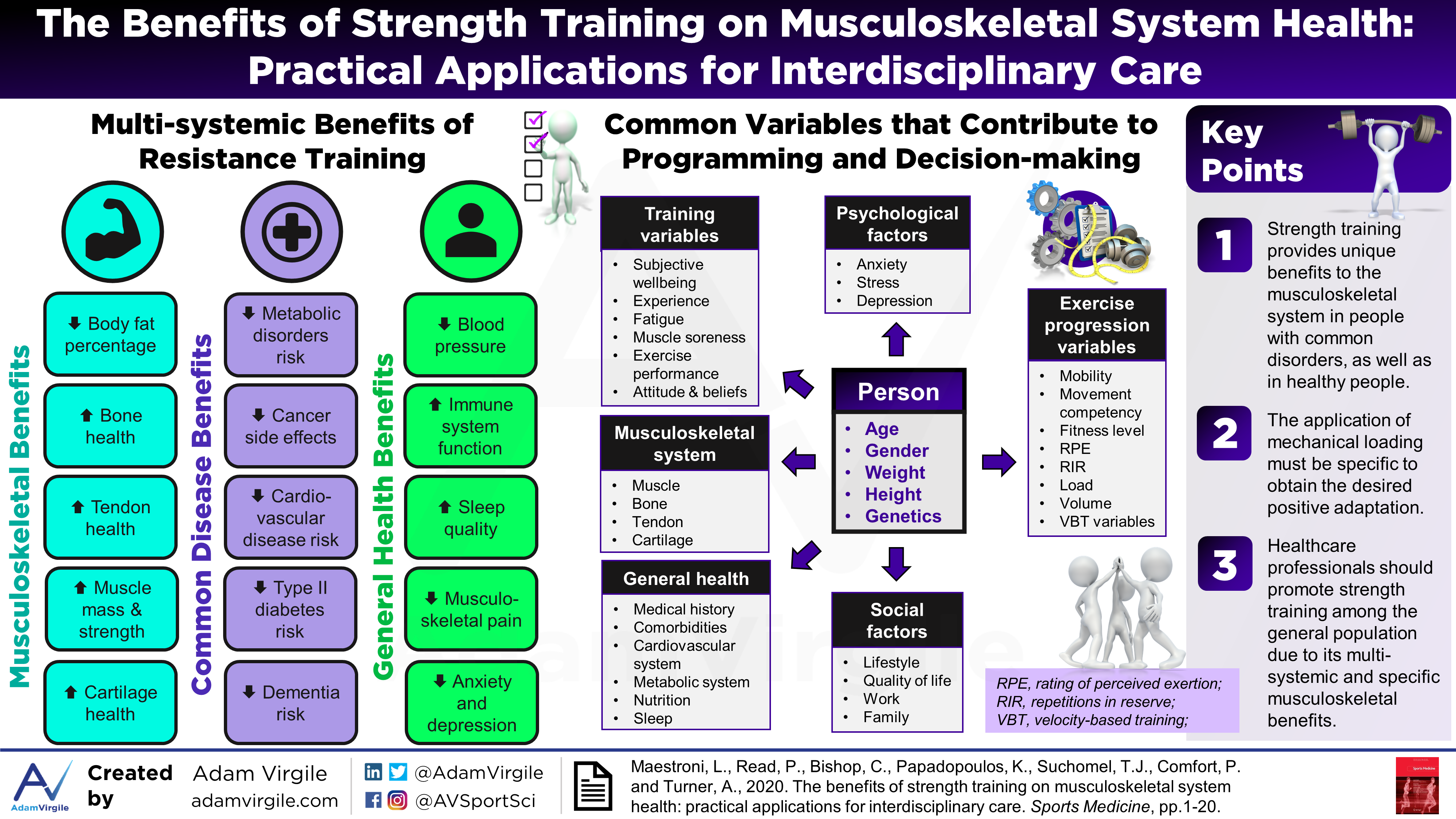 Read more about the article The Benefits of Strength Training on Musculoskeletal System Health: Practical Applications for Interdisciplinary Care