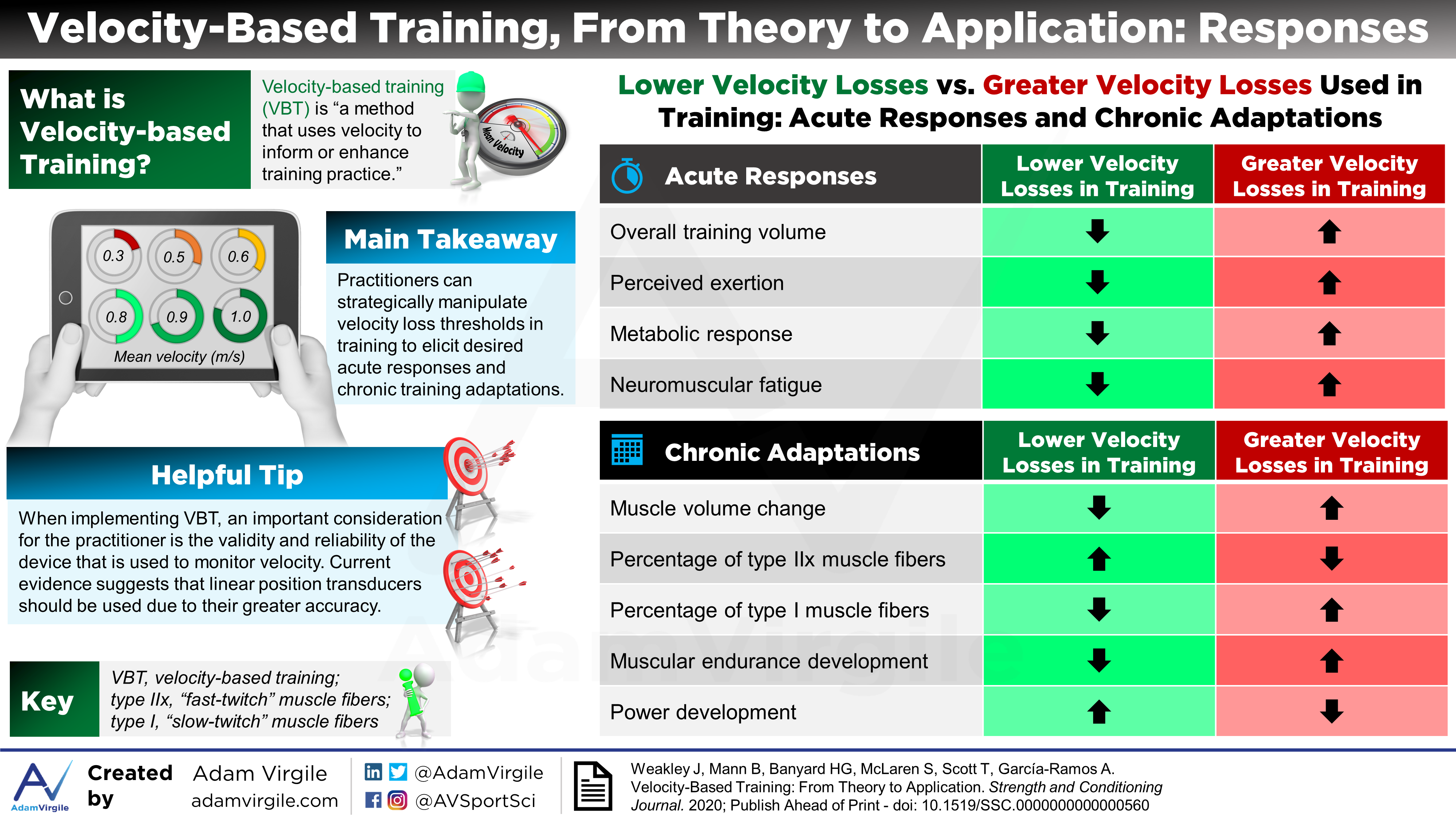 Read more about the article Velocity-Based Training, From Theory to Application: Responses