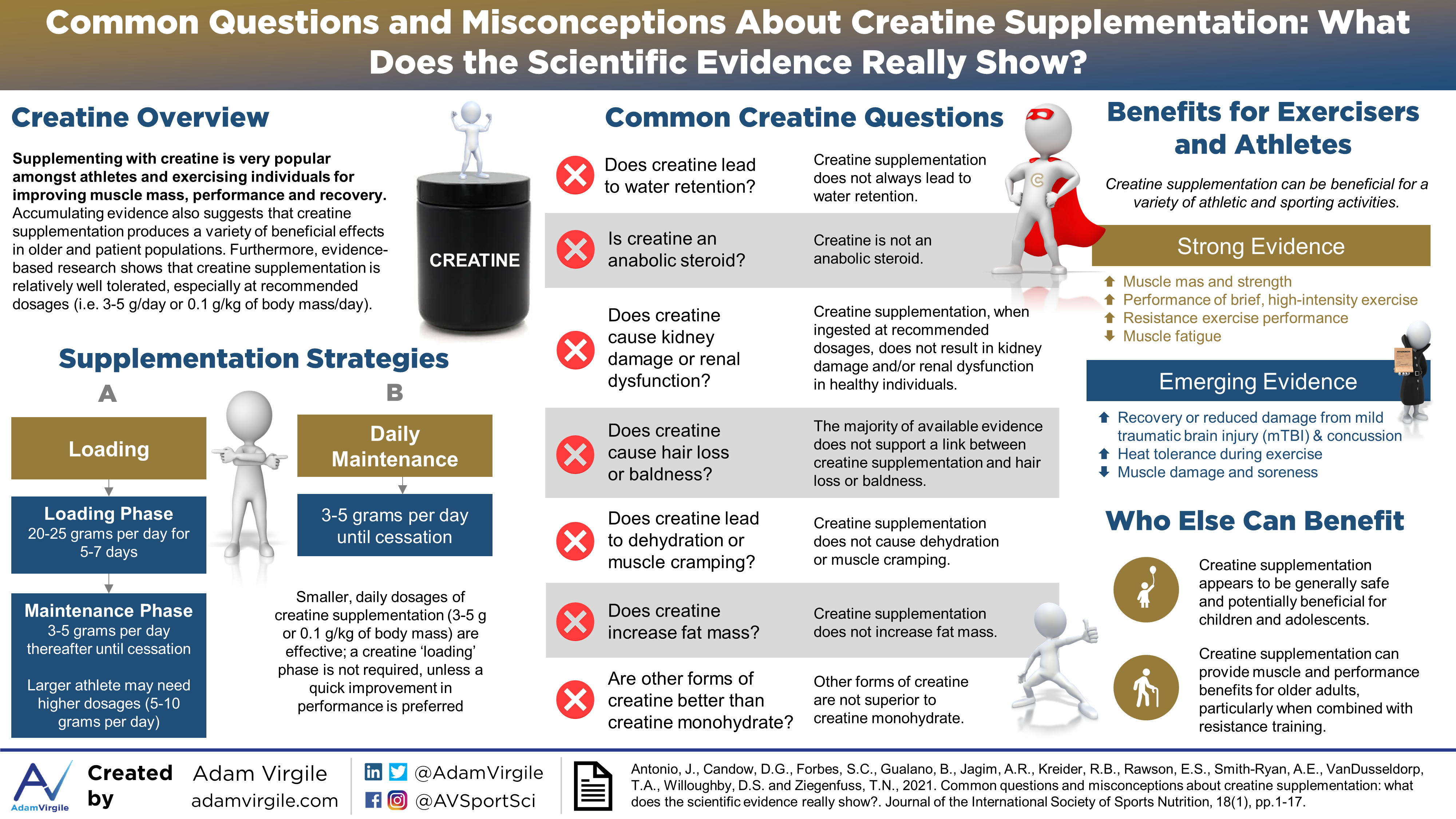 Read more about the article Common Questions and Misconceptions About Creatine Supplementation: What Does the Scientific Evidence Really Show?